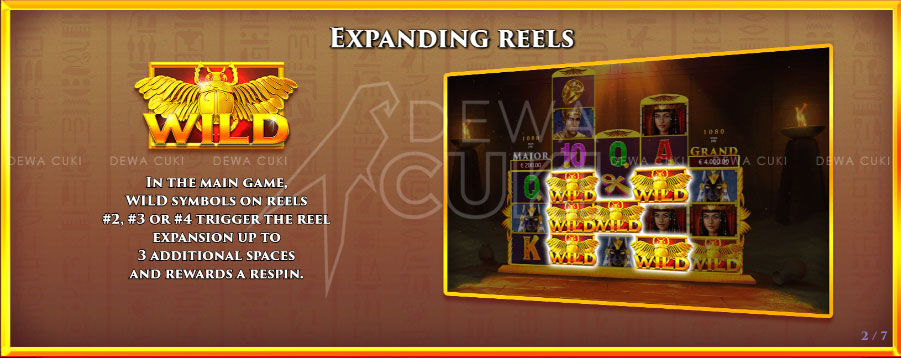 expanding reels